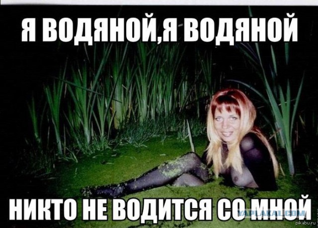 Когда вы плюсуeтe тему в платине