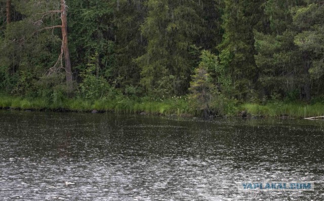 Шуя Беломорская.