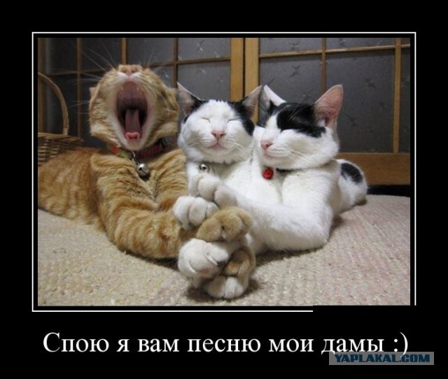 Небольшая подборка фото