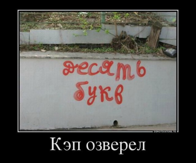 Подборка весёлых картинок
