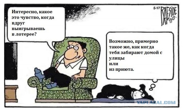 Собакочетверг 2.10.2014