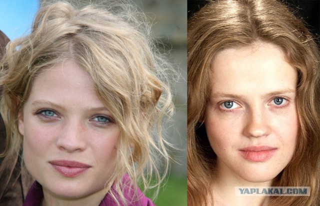 Собаки похожие на знаменитостей. Сама похожа. Человекпохожий на обезььяну. Сама похожа. Сама похожа.