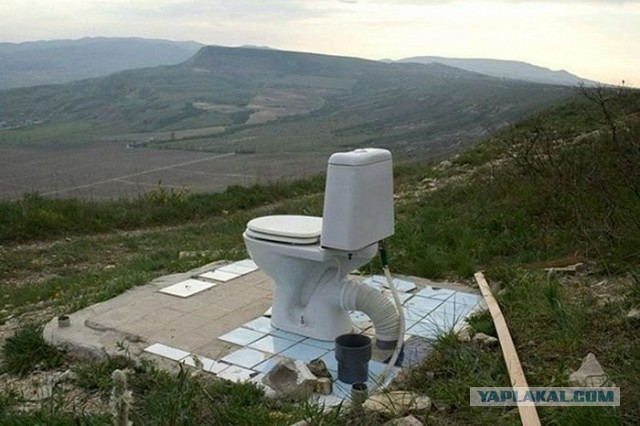 Картинки из инета