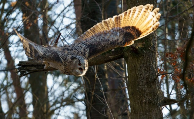 Подборка красивых картинок
