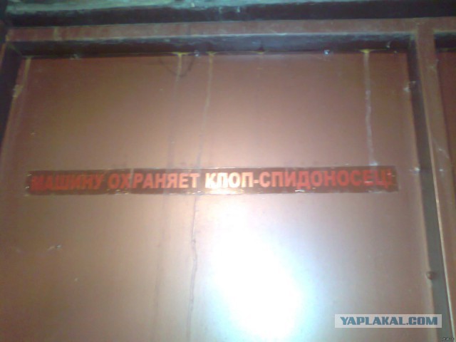 «Я попросил друзей из разных стран прислать фото самой красивой девушки»