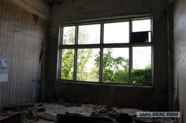 Семикаракорский консервный завод