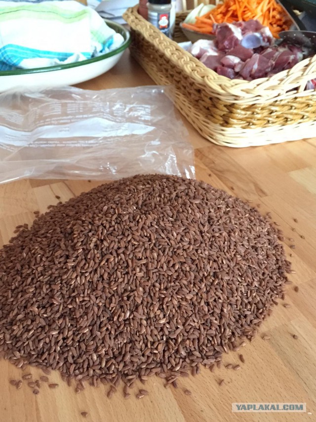 Плов … мягкий подмосковный