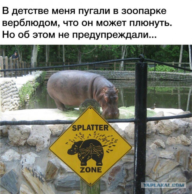 Точка бифуркации пройдена...