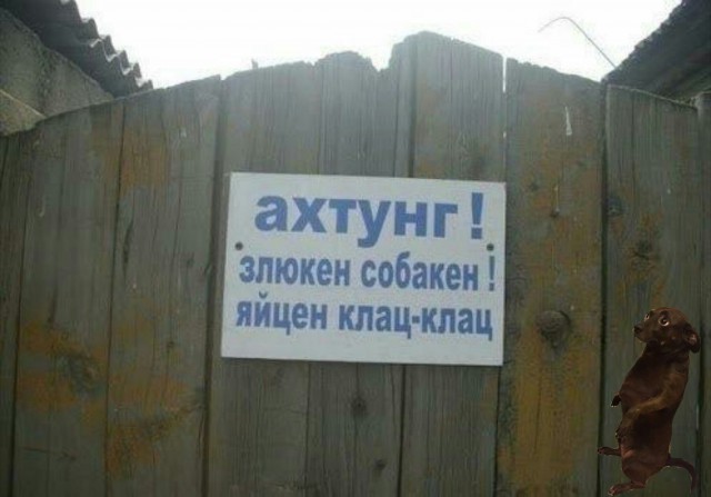 Фотожабы: измеряем собачку