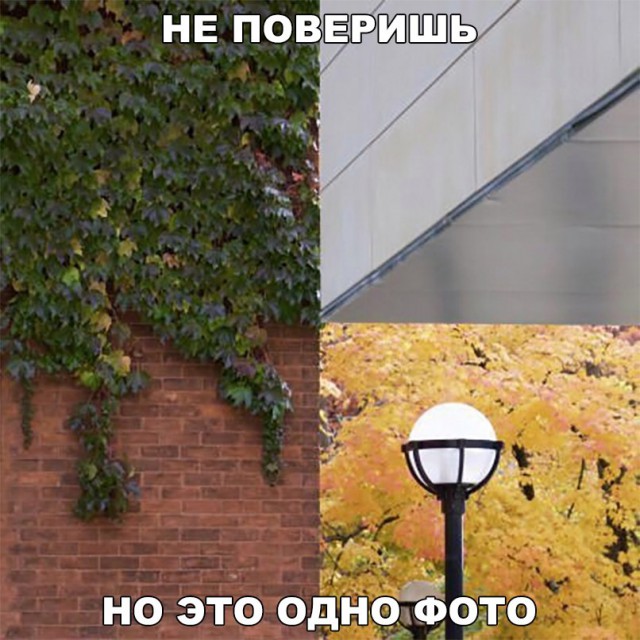 150 картинок для поднятия настроения!
