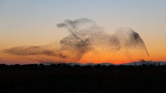 Фотограф не сразу понял, что сделал совершенно уникальный снимок