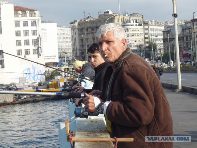 Лично мне не нужен берег турецкий