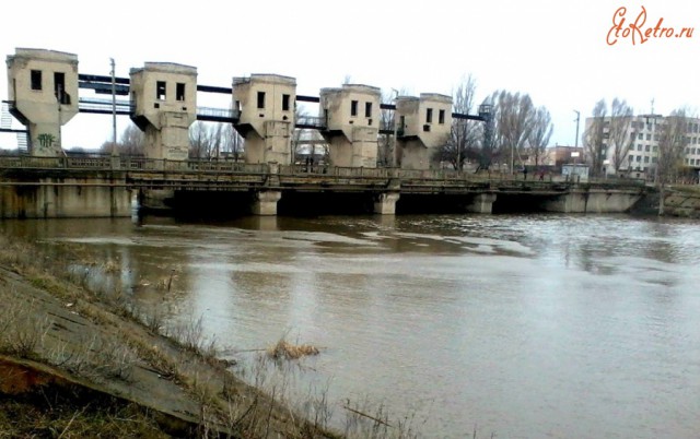 Добровольцы пробуют прыгнуть в бассейн с 10-метровой вышки