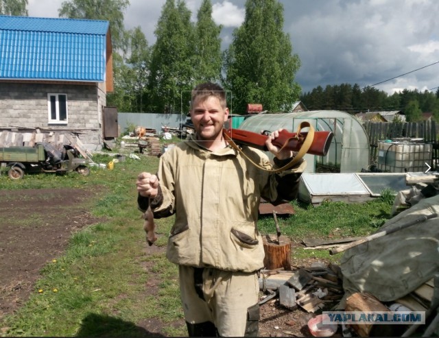 Про крыс