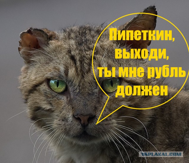 Уровень крутости зашкаливает