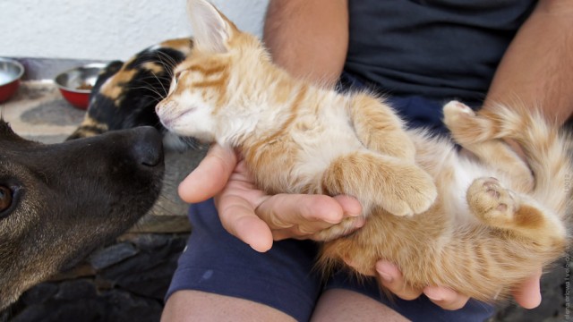 Один мой день. Самый первый!