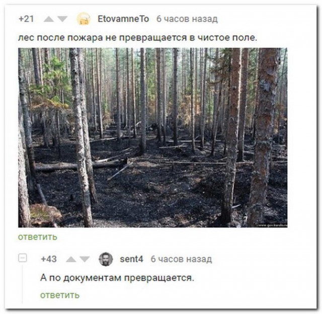 Не очень адекватный юмор