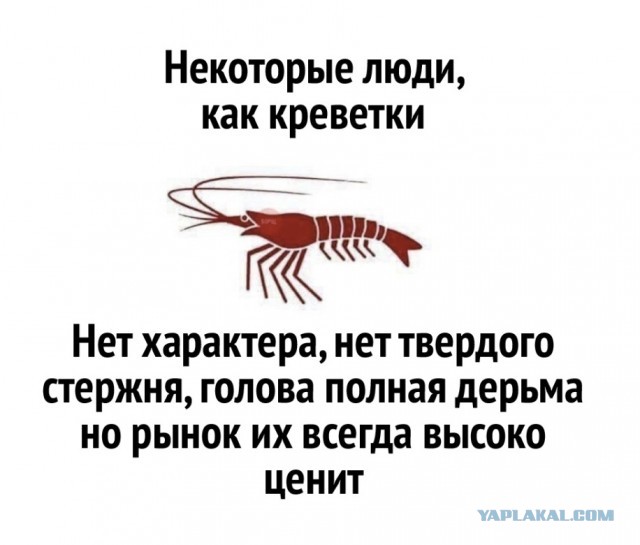 Раскрыта личная характеристика устроившего бойню в Забайкалье солдата 