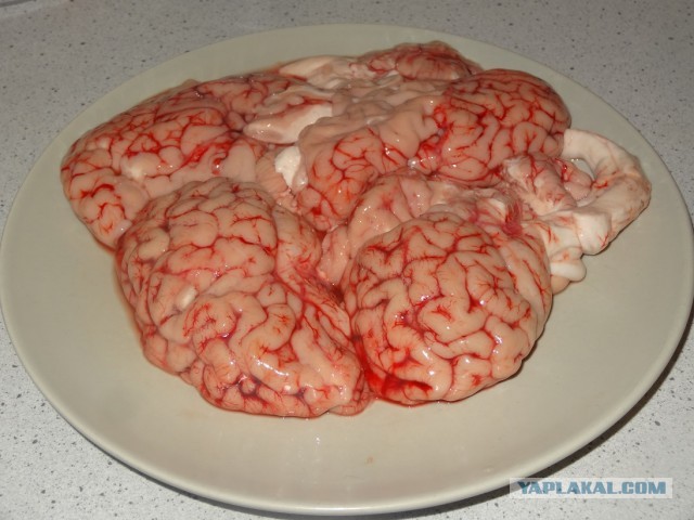 паштет из мозгов / кулинария