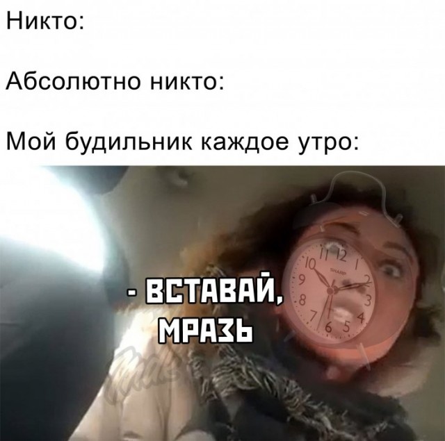 Немного картинок для настроения 17.02.20