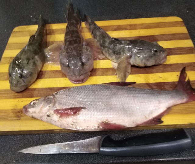 Со своих рыбалок, лето 2019