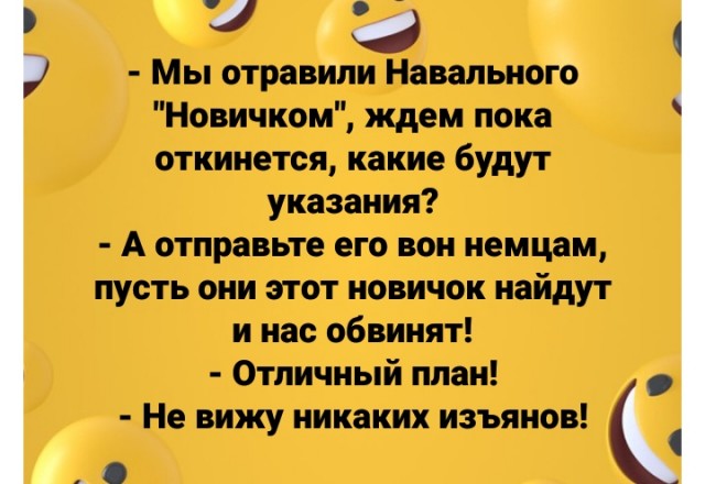 Правительство Германии: Навальный был отравлен ядом, схожим с «Новичком»