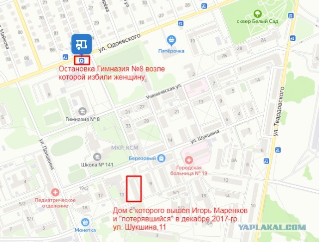 Дичь из Новосибирска. Толпа пьяных малолеток избила женщину