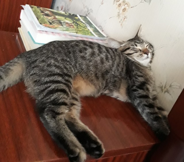 Как же его скрутило то...