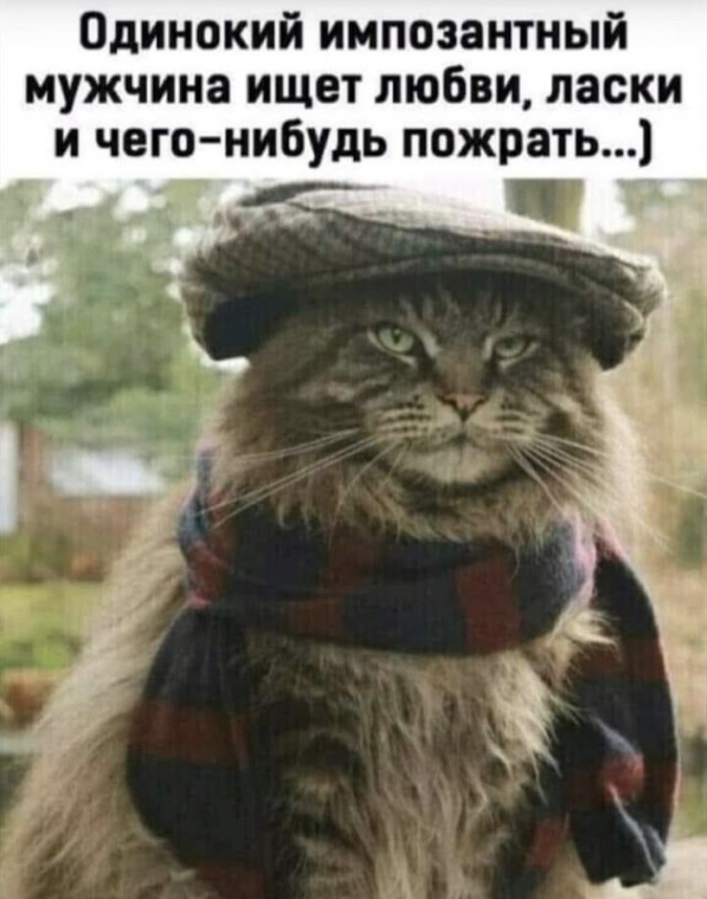 Всех кошатников с Праздником!