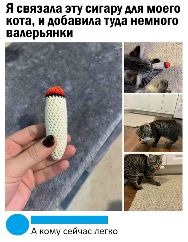 Кретинизмы из ЛМ и ЛЩ 15.03.2021