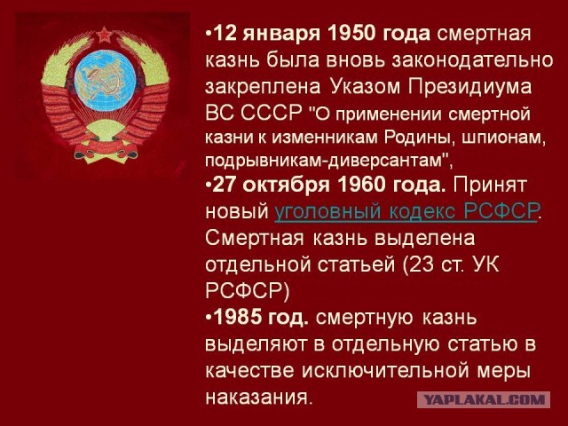 В Госдуме захотели вернуть смертную казнь после стрельбы в Казани
