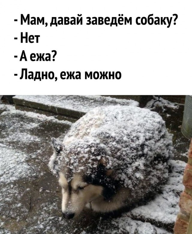 Так себе картинки 02.07.21