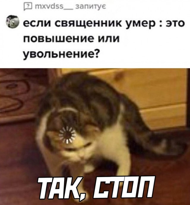 Весёлый полтишок 15.08