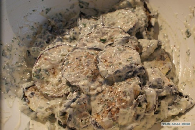 Пятничные посиделки на теплотрассе ©