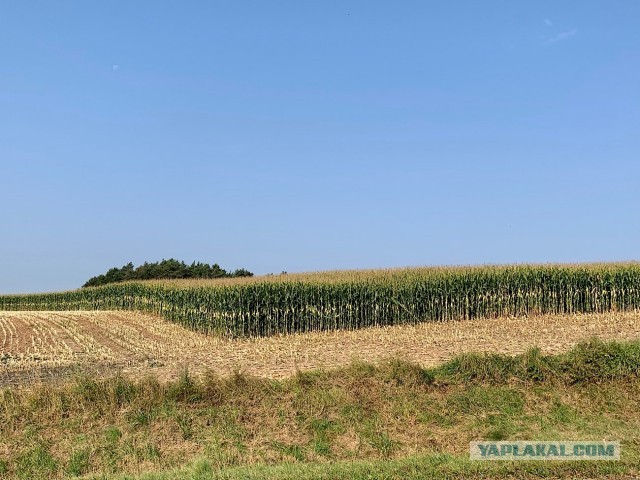 Кулинарная общалка