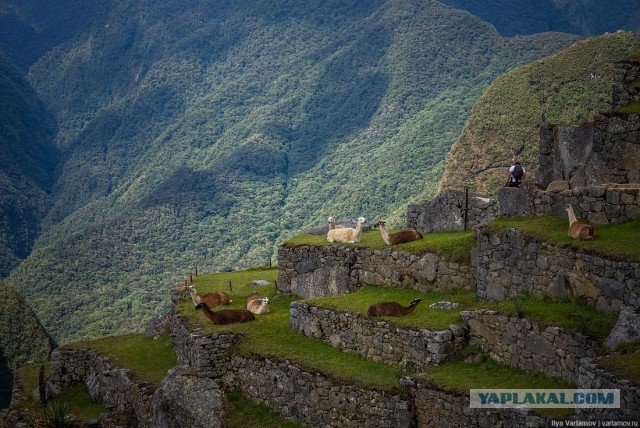 Мачу-Пикчу, Перу: райцентр бессердечных инков