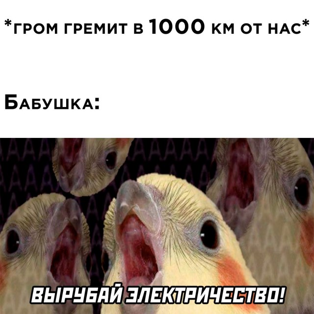Весёлый полтишок 01.02