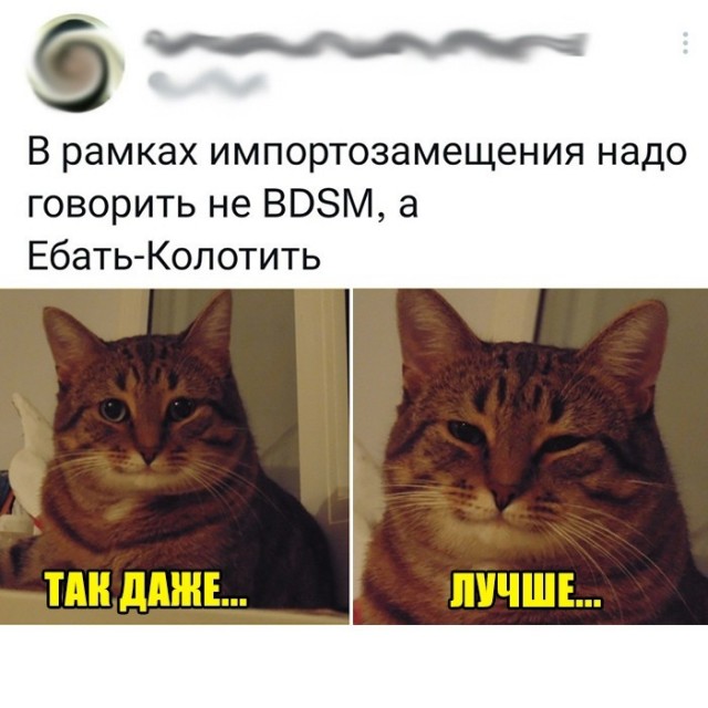 Воскресные картинки