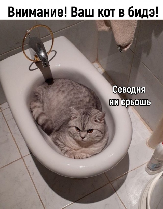Так себе картинки 23.04.22