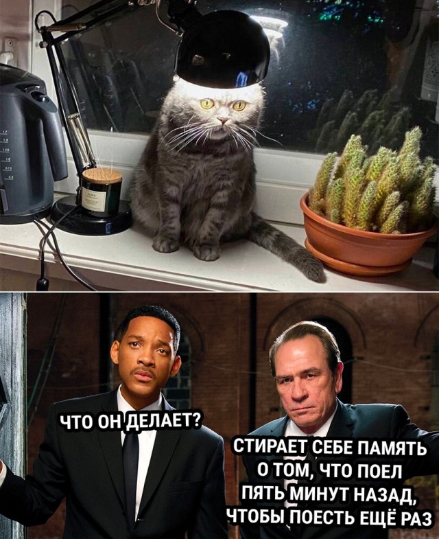 Так себе картинки 28.04.22