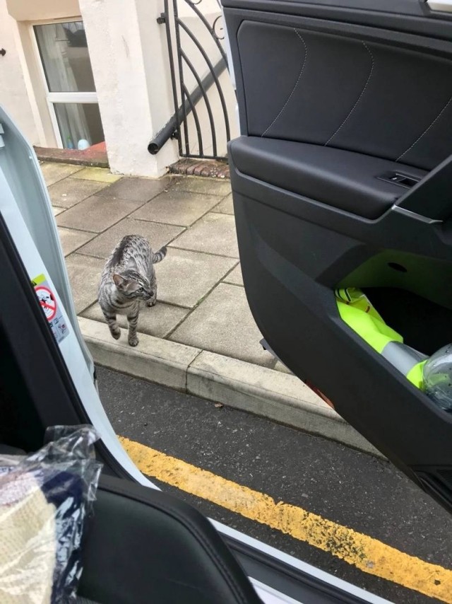 Как завести себе человека