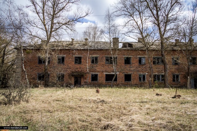 Зона отчуждения. Полесский радиационно-экологический заповедник. д.Погонное (Хойникский р-н, Гомельская обл)