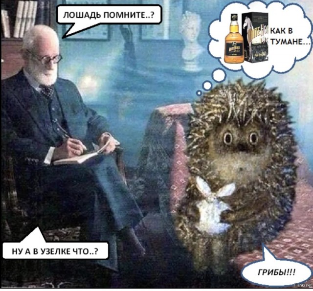 Мемчики. Опишите одним мемом, как дела, что на душе?