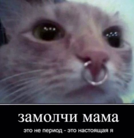 Замолчи мама
