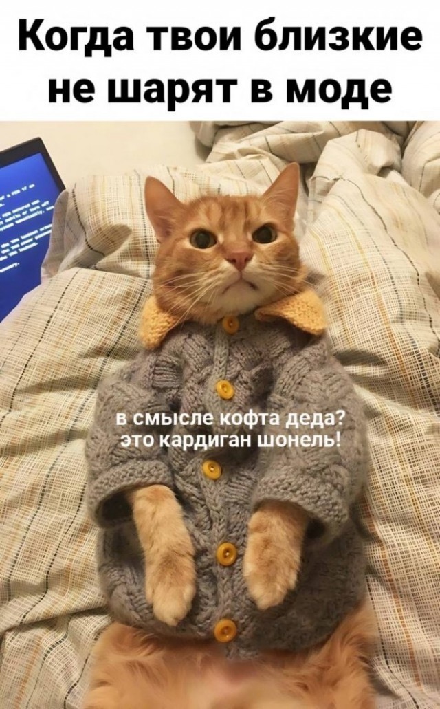 Картинки и мемы для настроения - 125