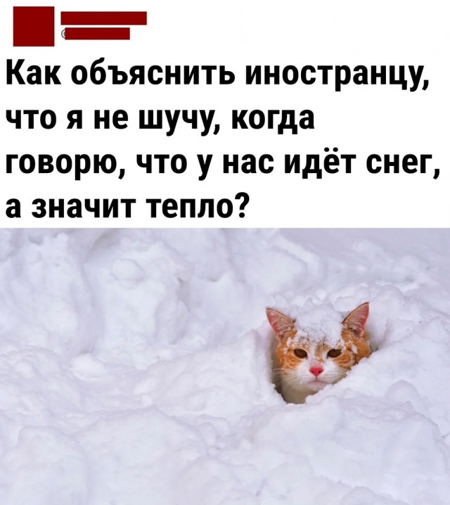 Так себе картинки 20.12.22