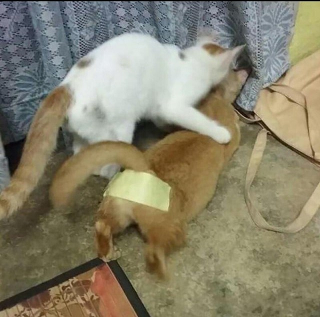 Необычные картинки