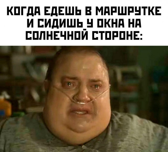 Картинки весёлые, вроде