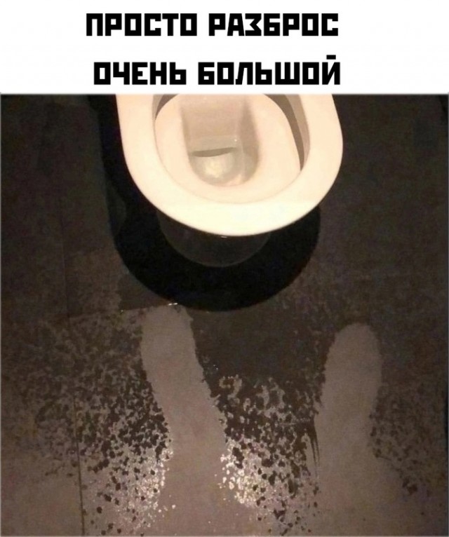 Весёлый полтишок 02.06.23