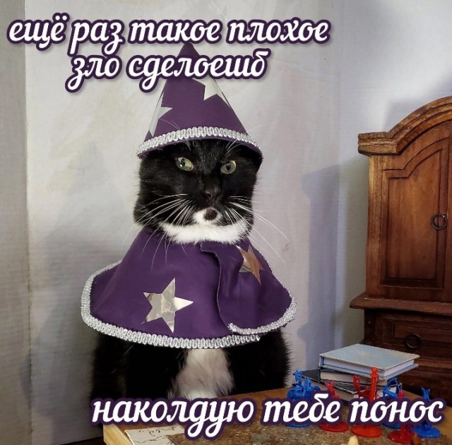 Всего понемногу. От 03.10.23